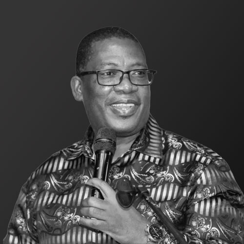 Panyaza Lesufi portrait