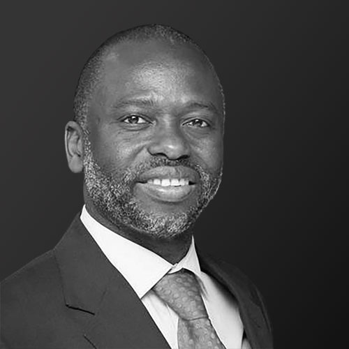 Prof. Tshilidzi Marwala portrait
